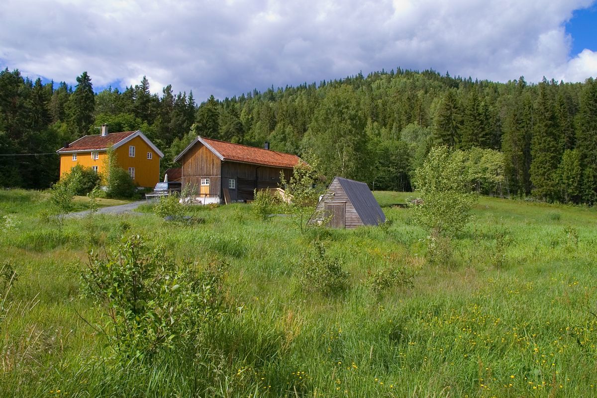 Midtsommer på Nygård