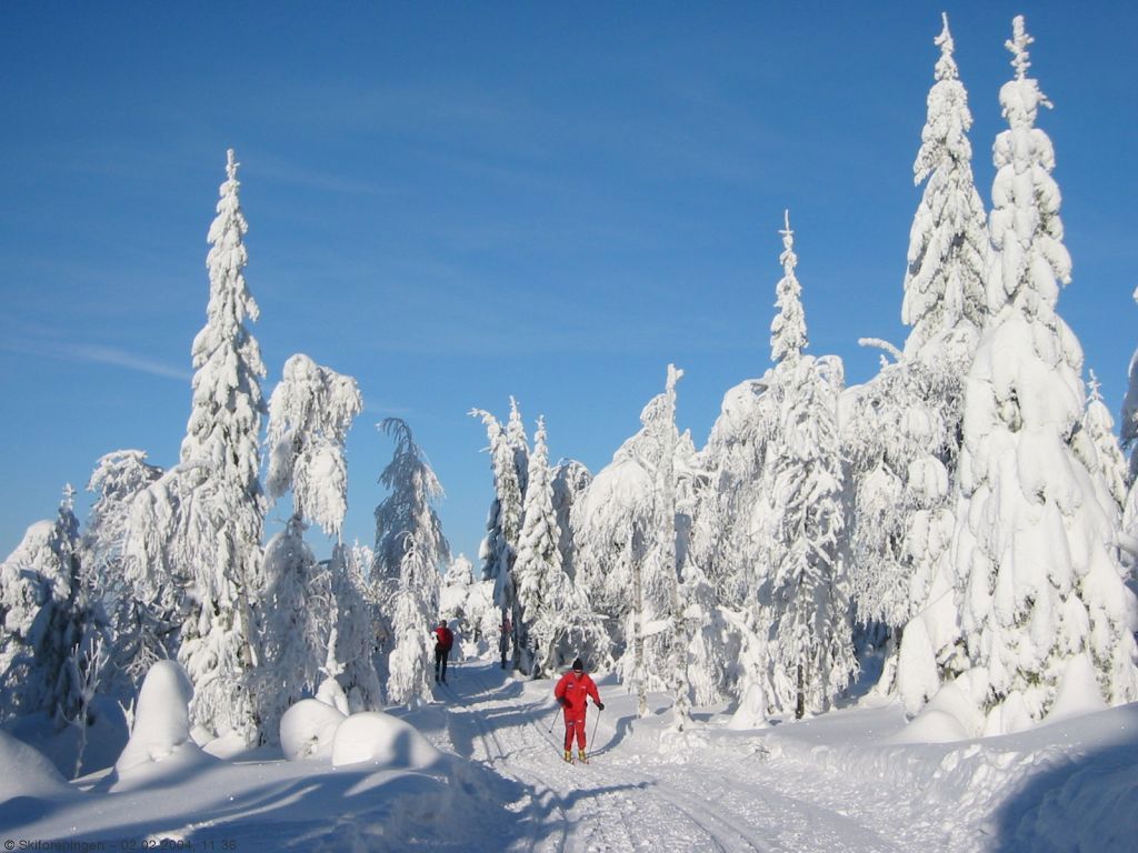 Midtvinterstemning på Vestergyllen