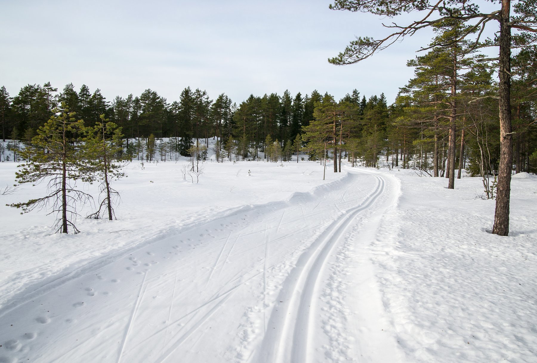 Mildvær, men bra spor