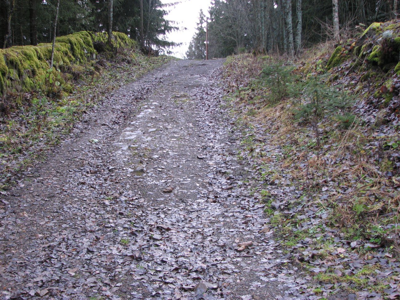 Milesteinsbakken ved Dvergsten