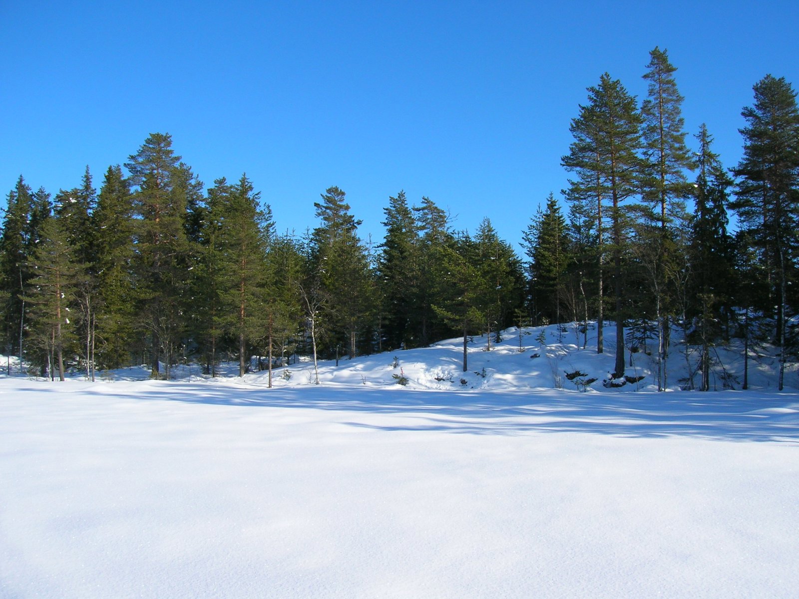 Minneplate på Høgmyra
