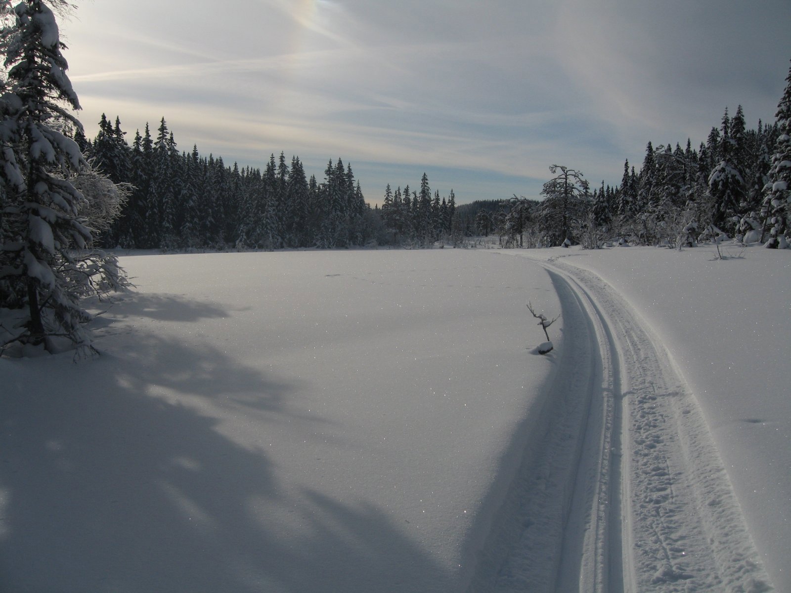 Mjuke spor i snilt terreng
