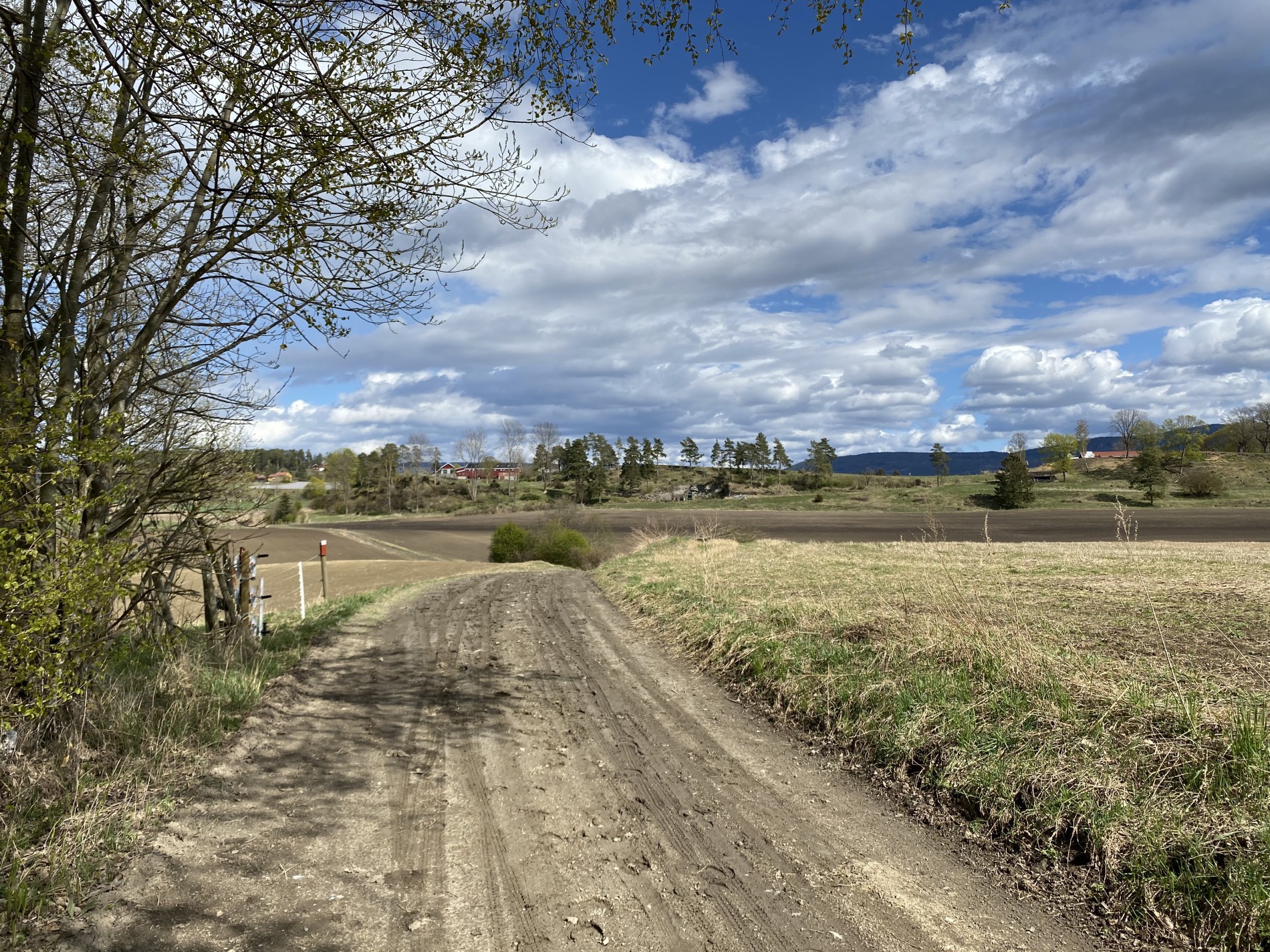 Mo gård sett fra vest