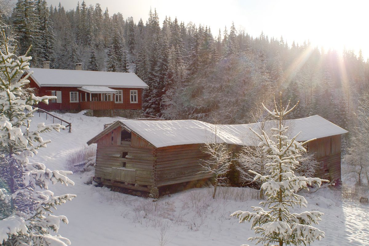 Monsebråtan i motlys