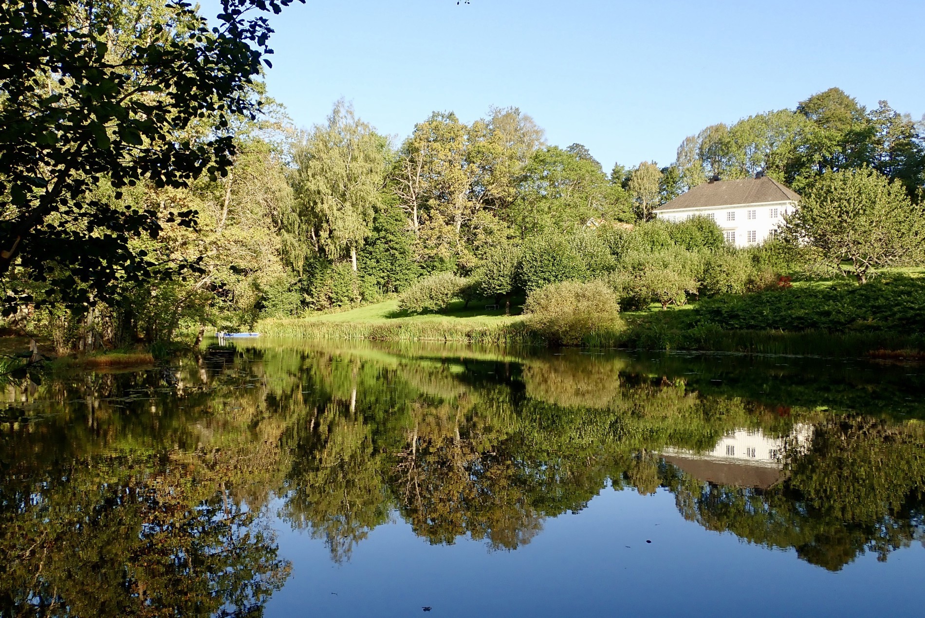 Morgen ved Høveldammen