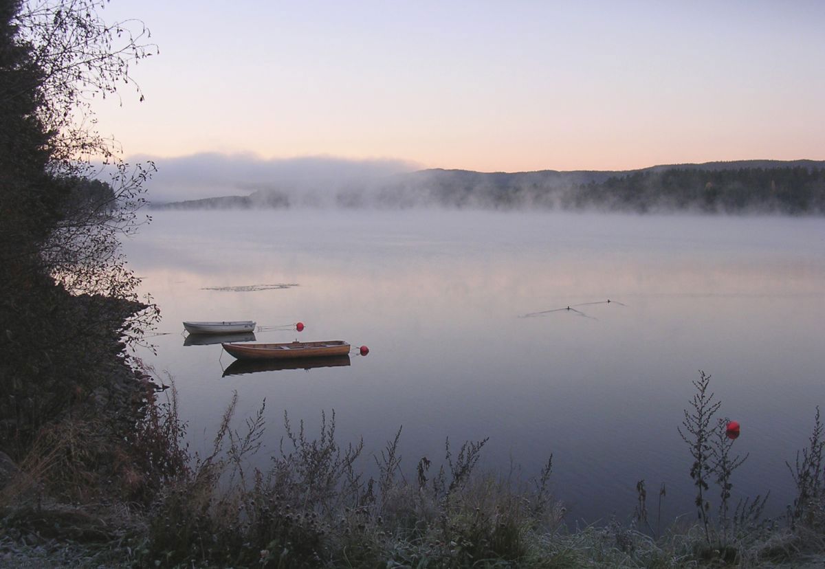 Morgendis over Harestuvannet