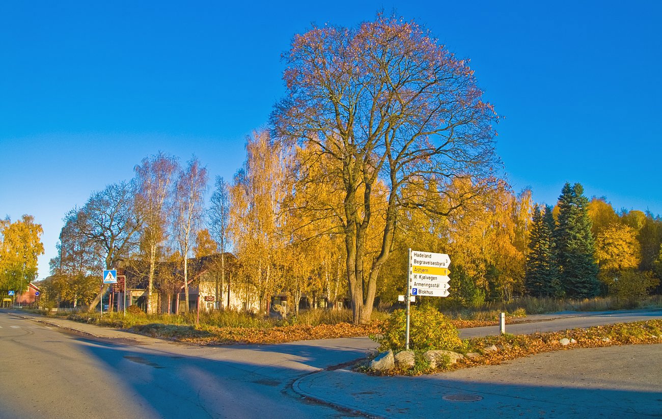 Morgenlys på Brandbu