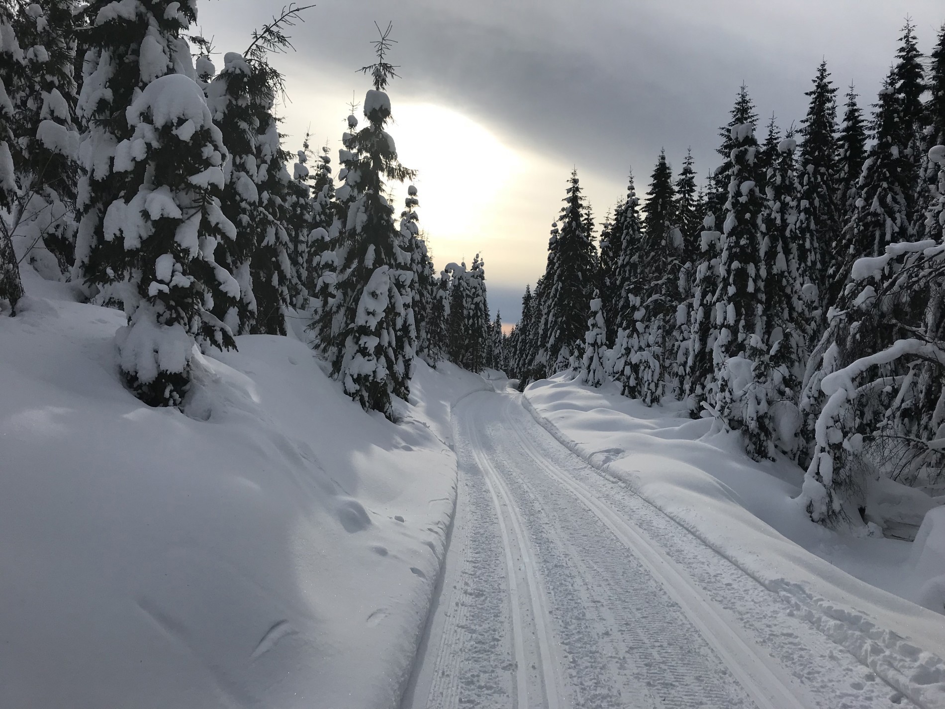 Morgenprepping langs Abborvannsbekken