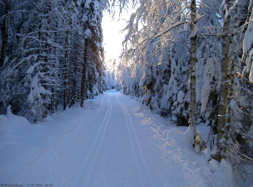 Morgenstemning på Jongsmyr