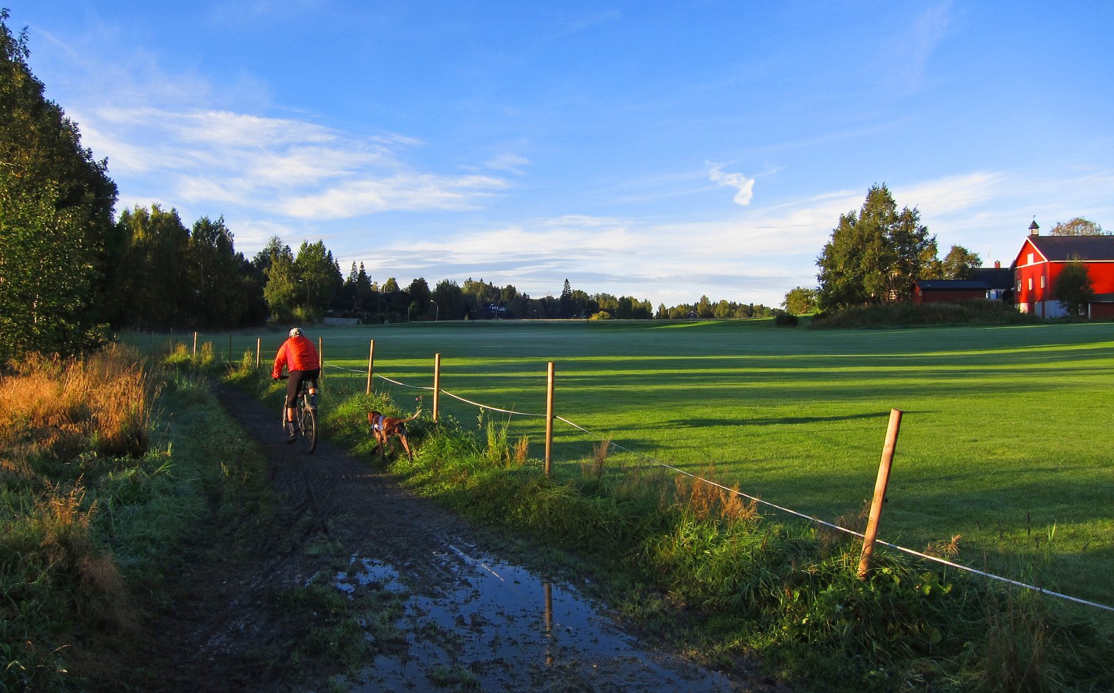 Morgenstemning ved Nordli