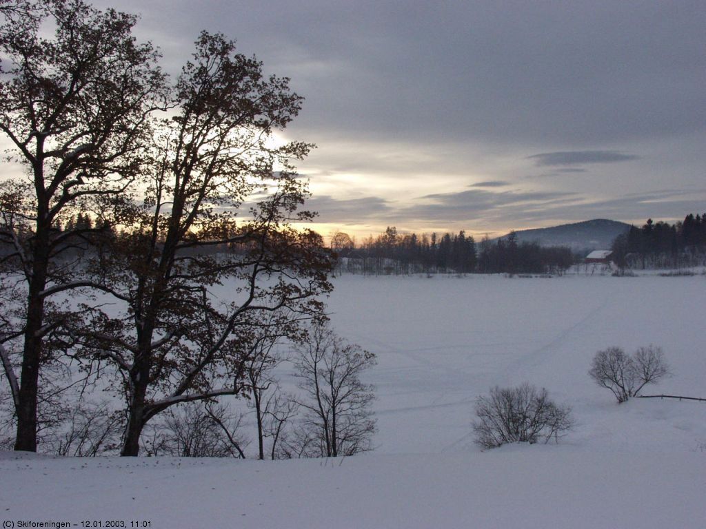 Morgenstemning ved Semsvannet