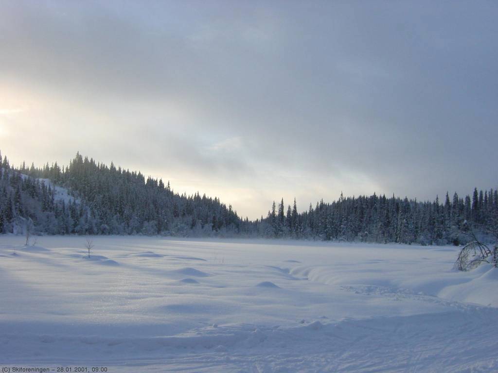 Morgenstemning ved Trantjern