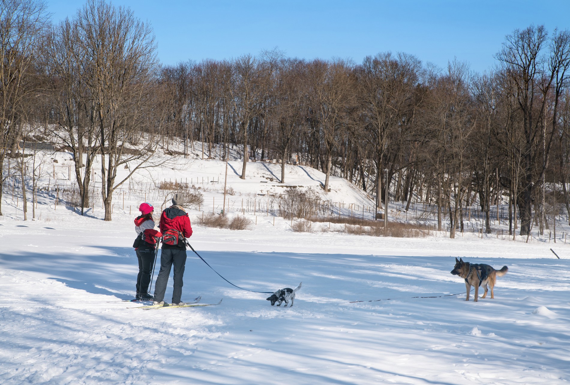 Morgentur på Musejordet