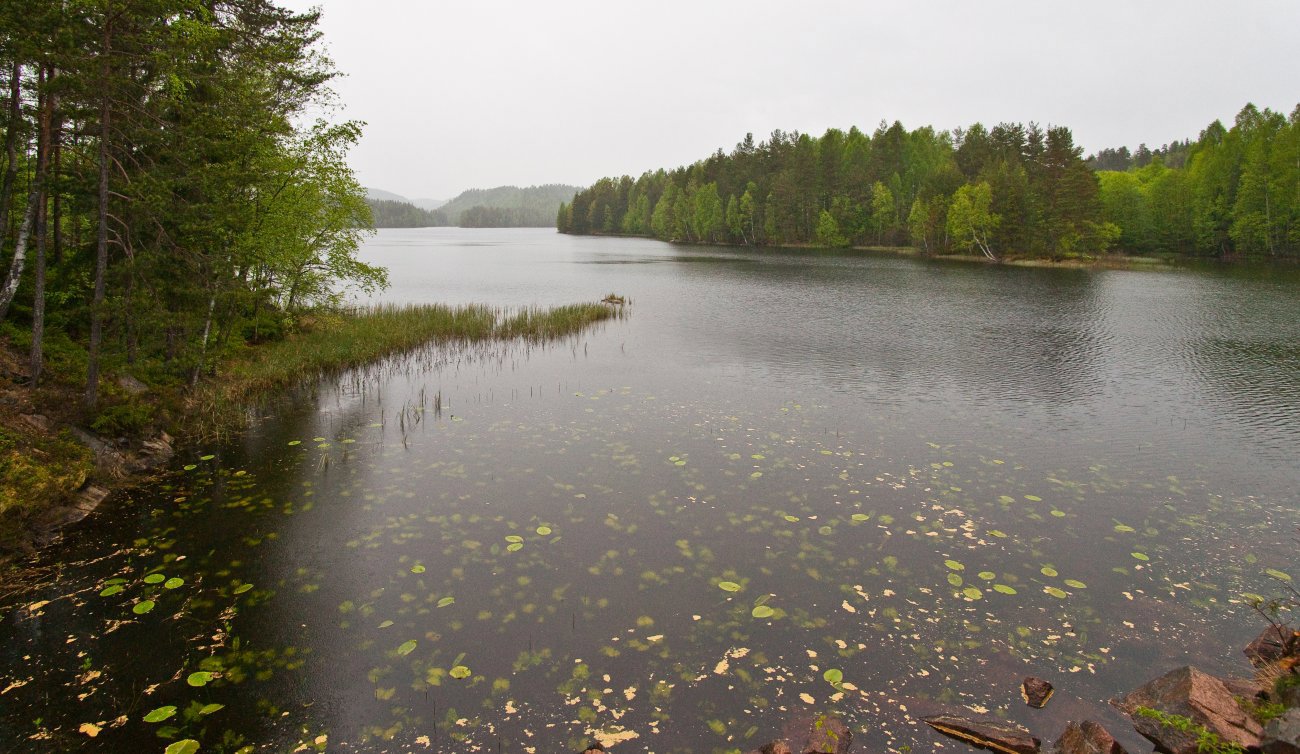 Mørk ettermiddag ved Mørkvannet
