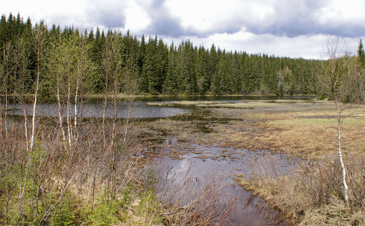 Mørke skyer over Nedre Skjortjern