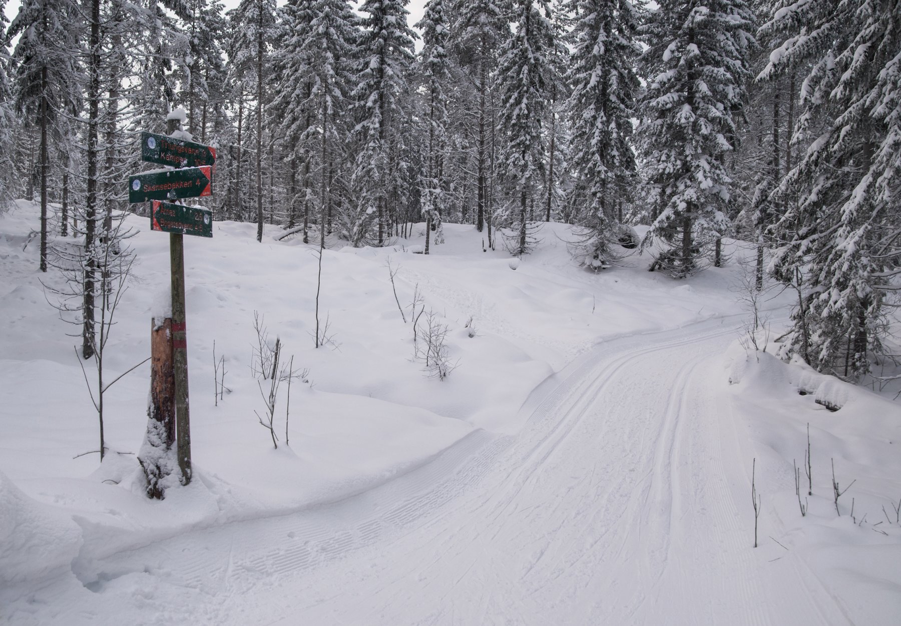 Mørket kommer snikende
