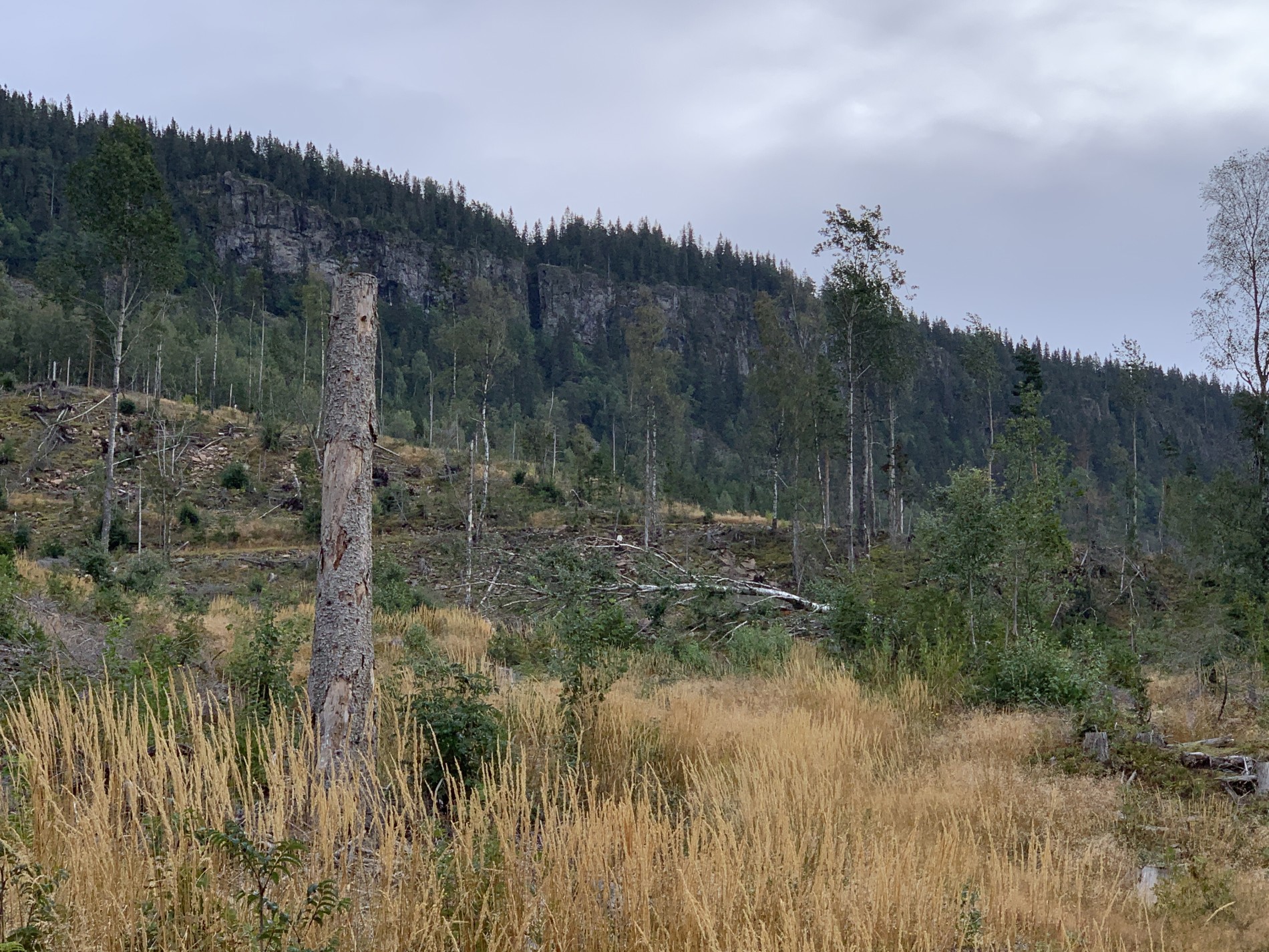 Mørkganga sett nedenfra