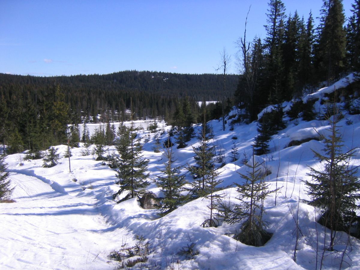 Mot Auretjern og Spålen