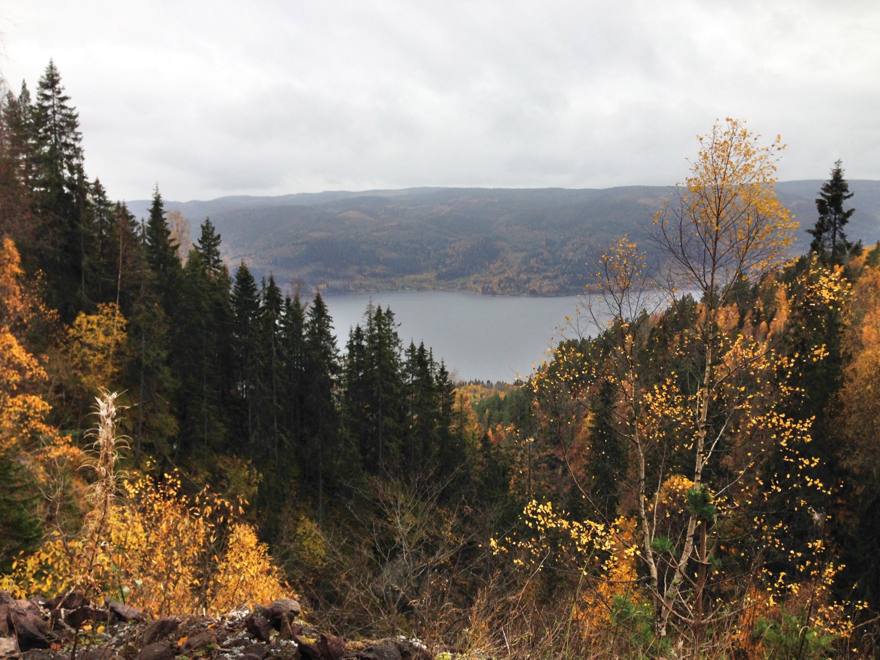 Mot Holsfjorden fra Homledalsveien
