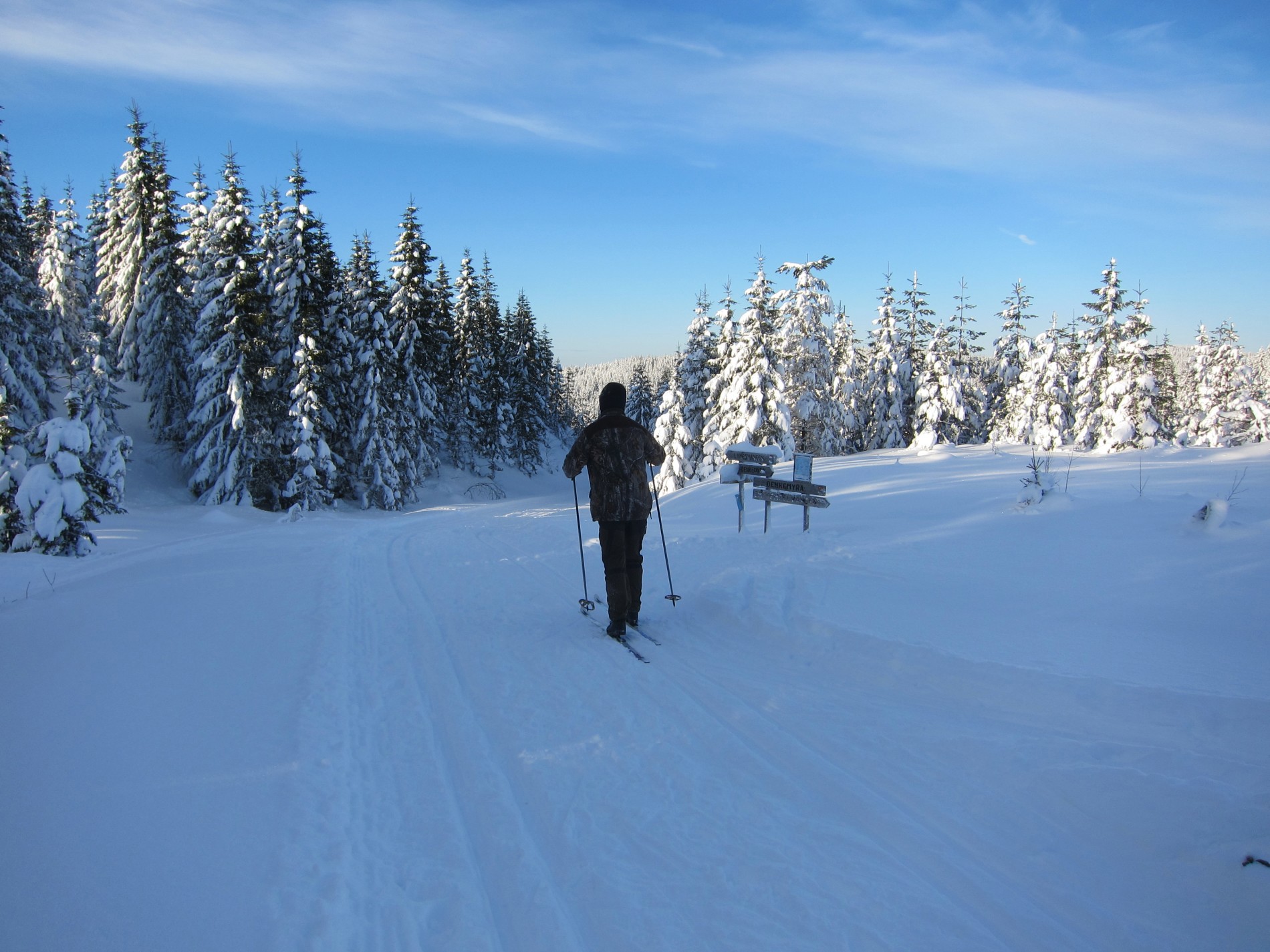 Mot Holsvangen fra Neverberget