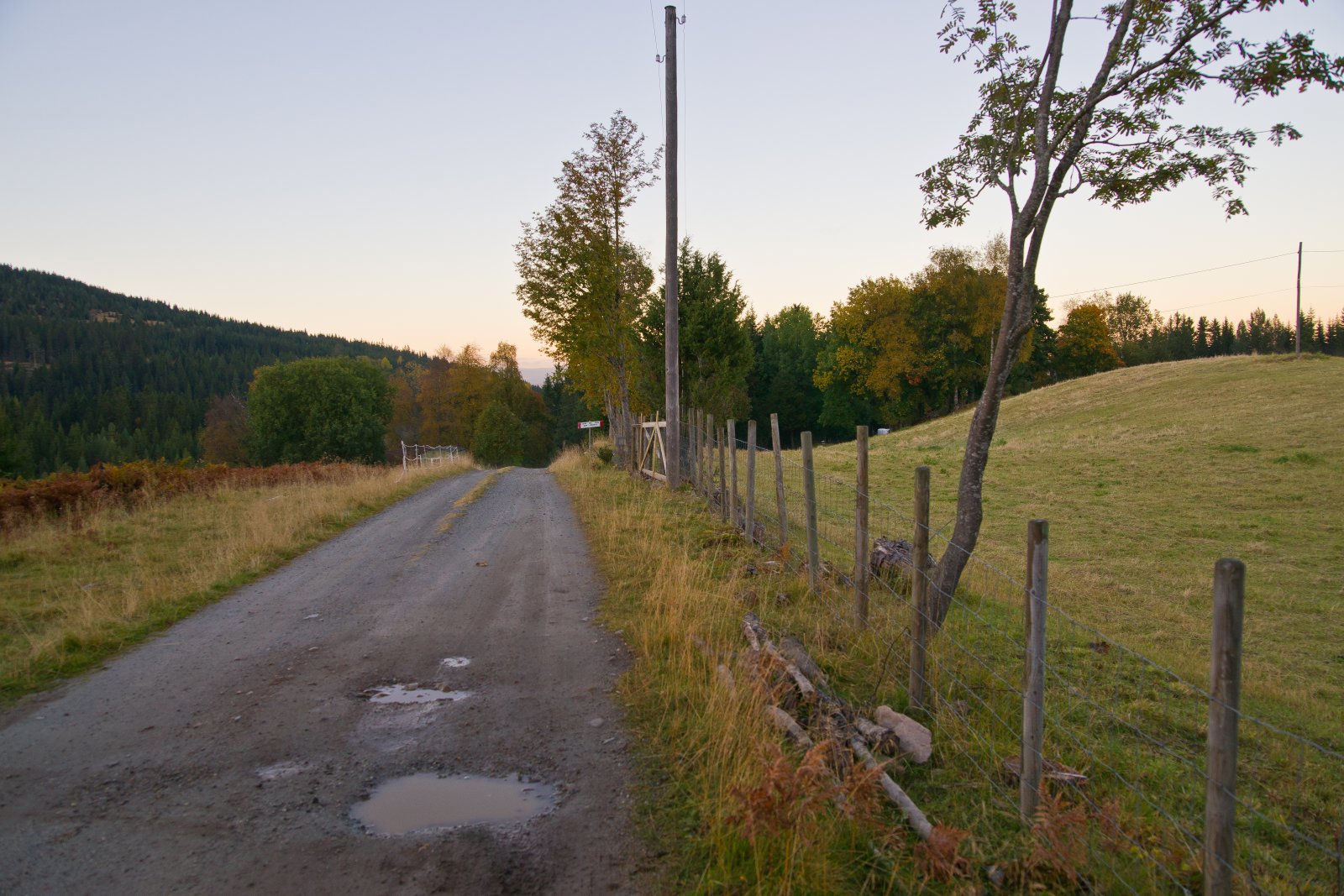 Mot kveld ved Vangen
