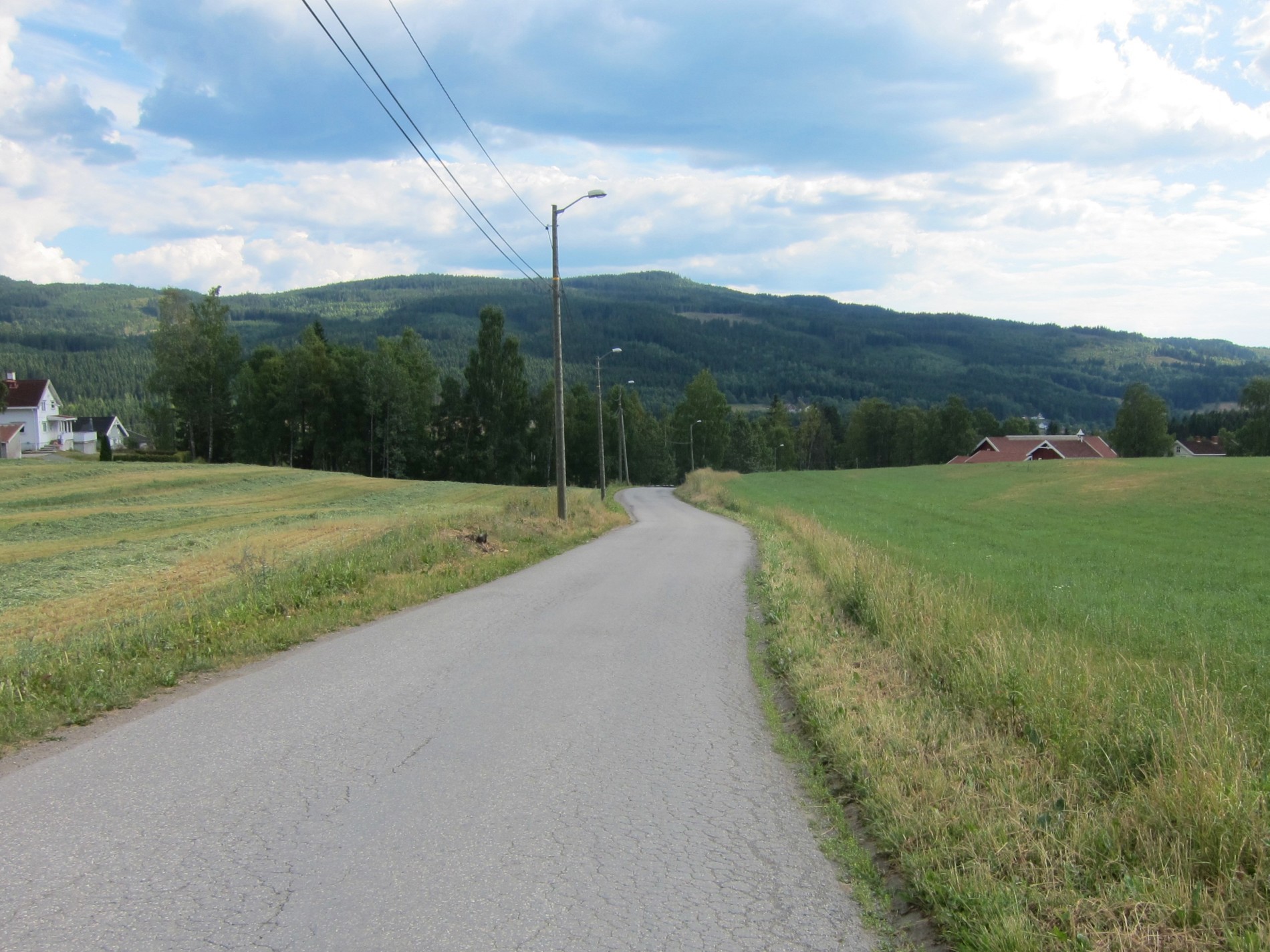 Mot Lamannshaugen fra Olum