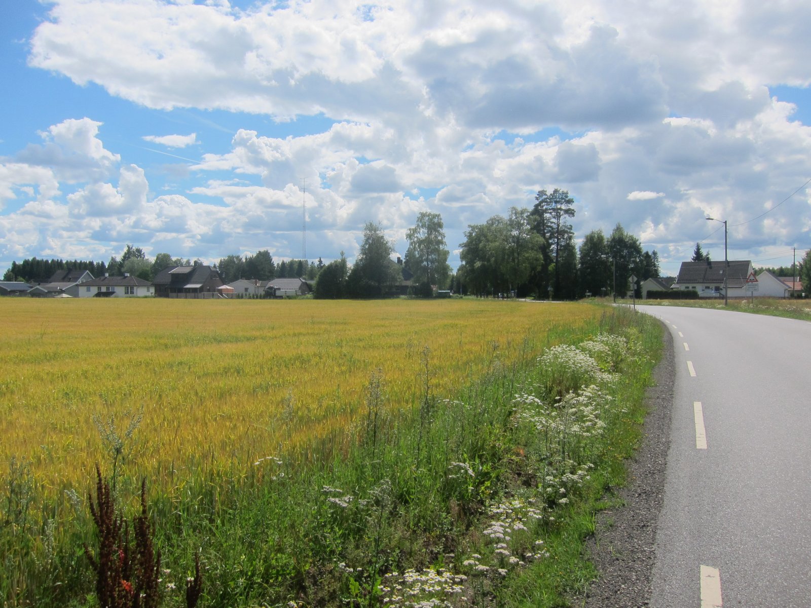 Mot Nordkisa fra øst