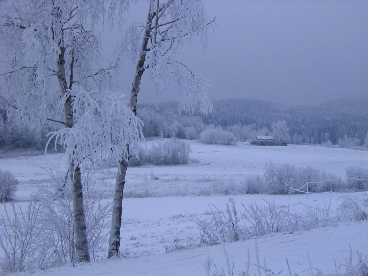 Mot Østmork i desember