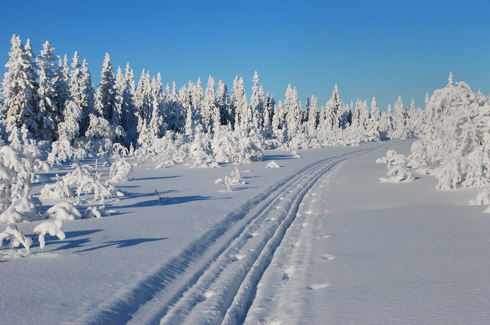 Mot Rausteinstjennet