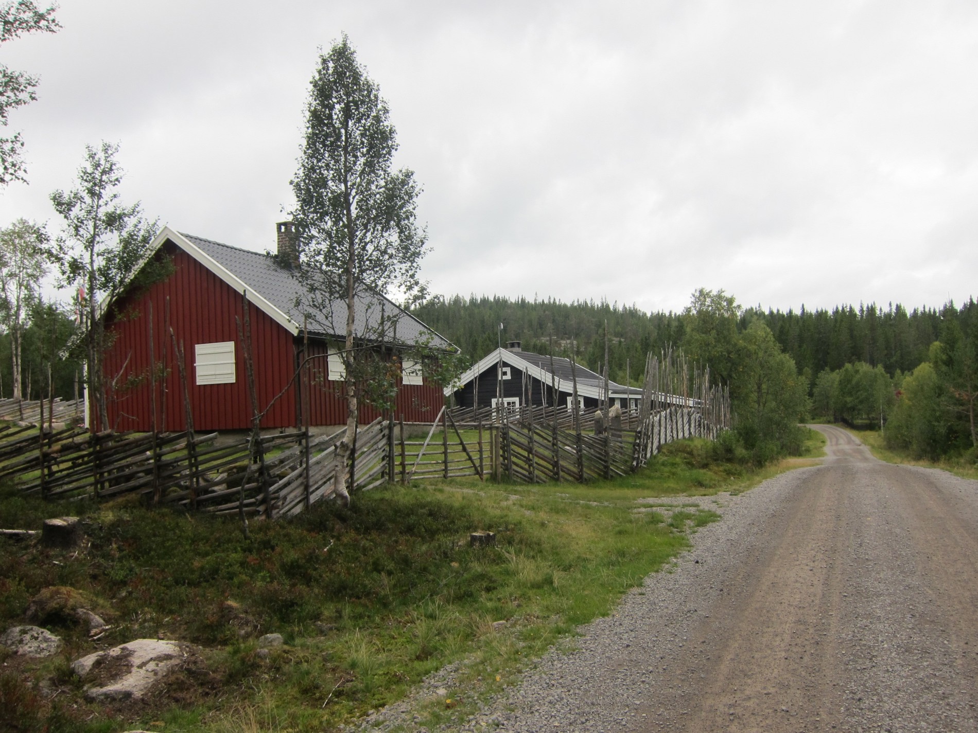 Mot Risbakken fra øst
