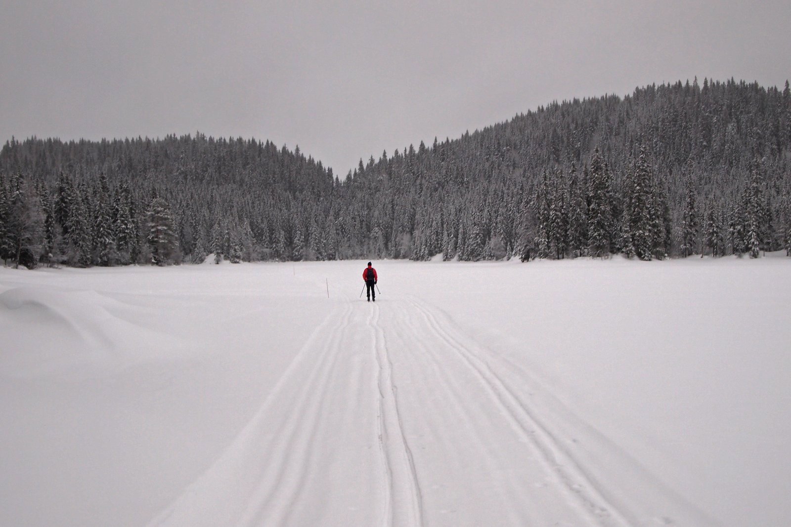 Mot Sandbekkmana - hva får vi oppleve i dag?
