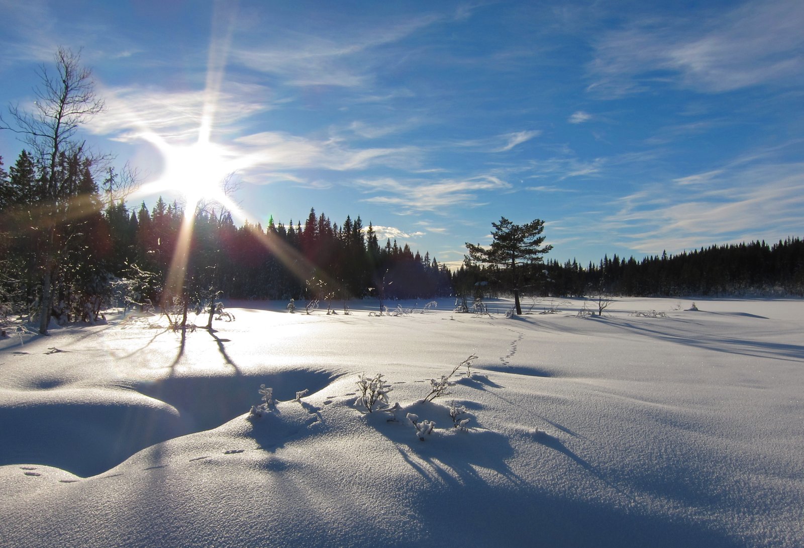 Mot solen ved Stubdalstjern
