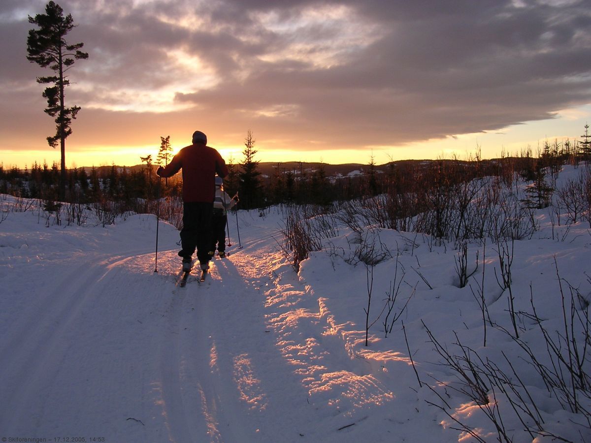Mot Sollihøgda i solnedgangen