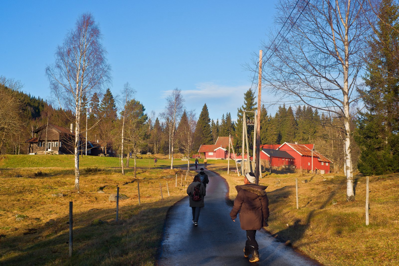 Mot solskinnet på Finnerud