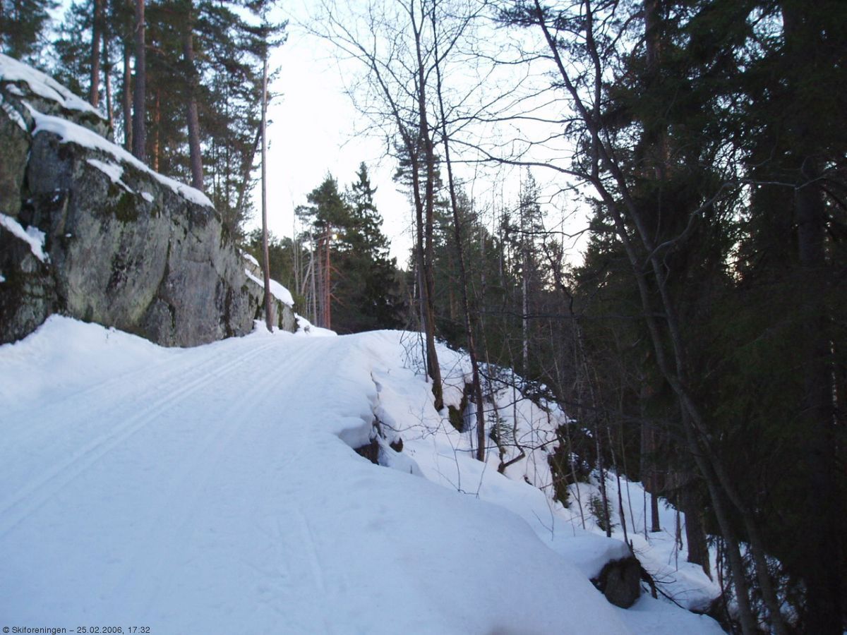 Mot toppen av Sleppa i Østmarka