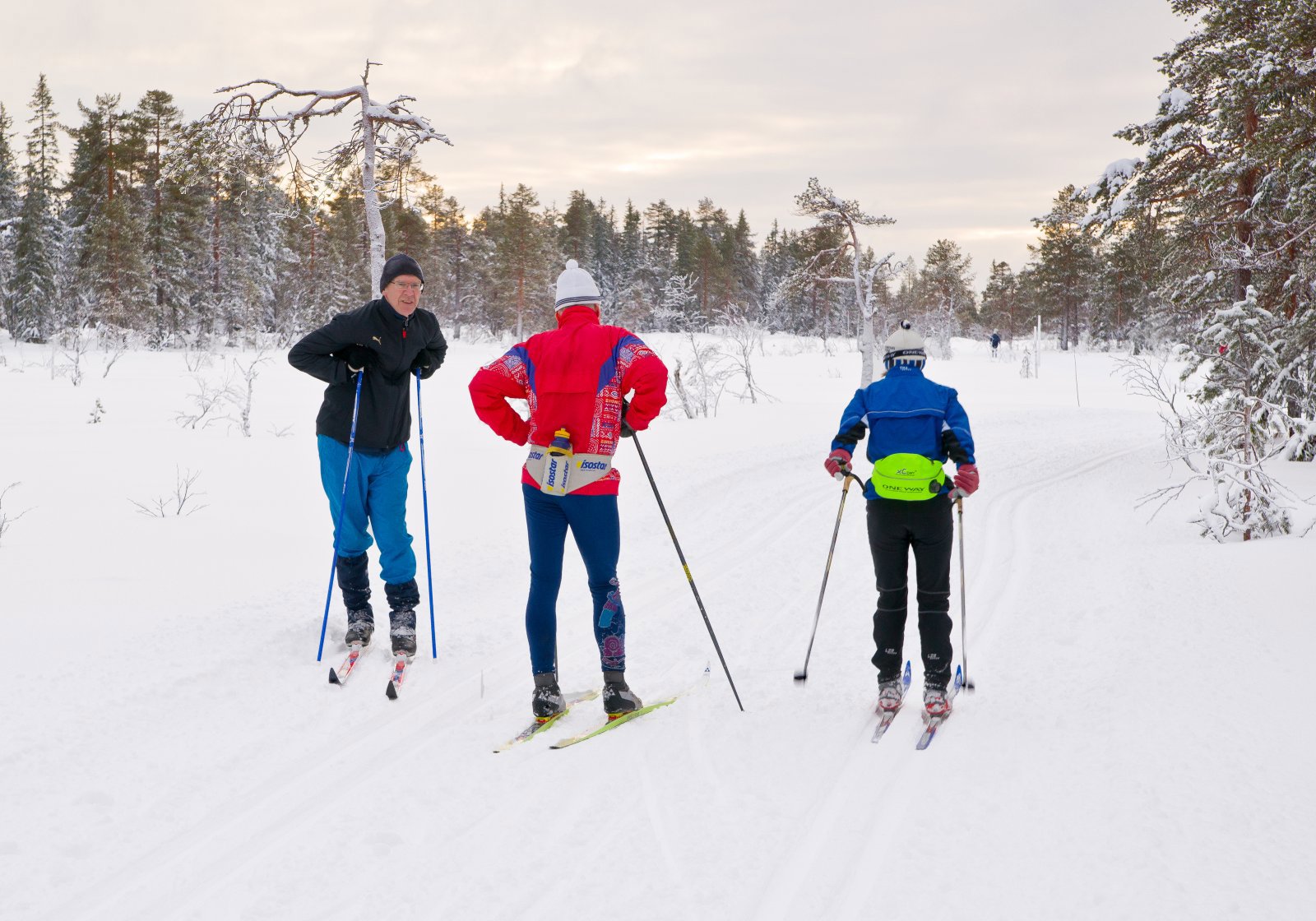 Møte på Ringsmyrene
