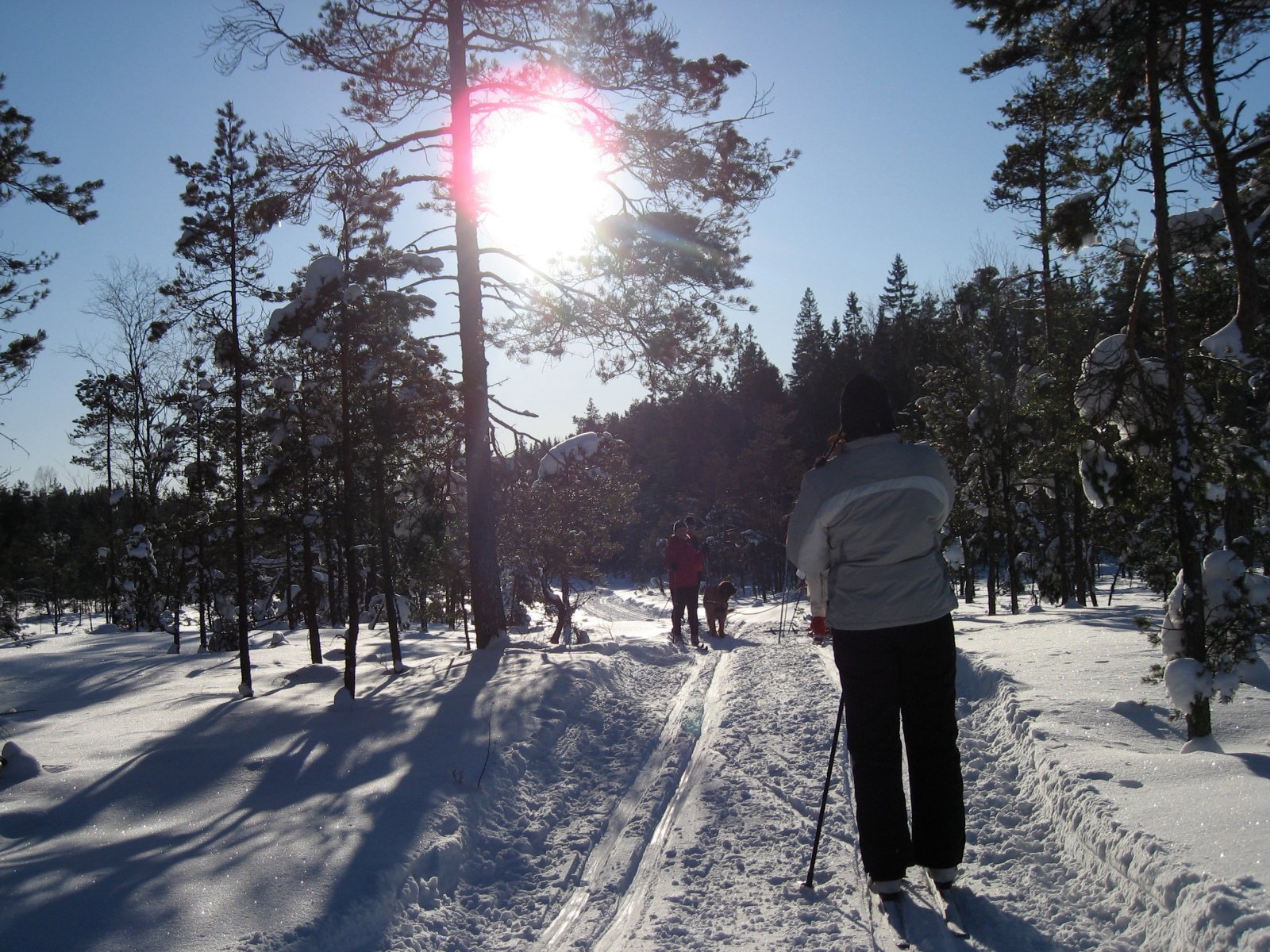 Møtes på Breimosan