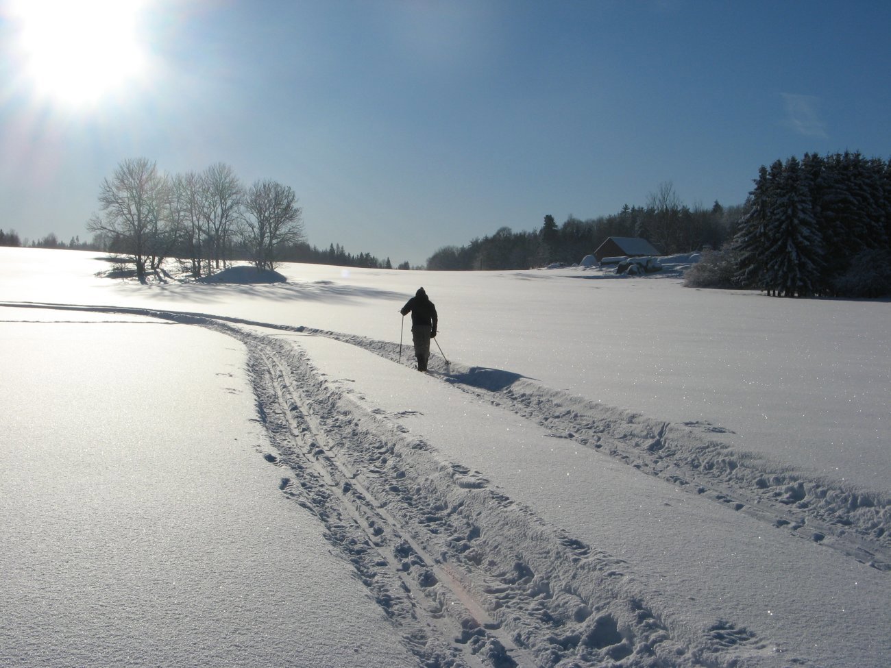 Motlys i Svartskog-landskap