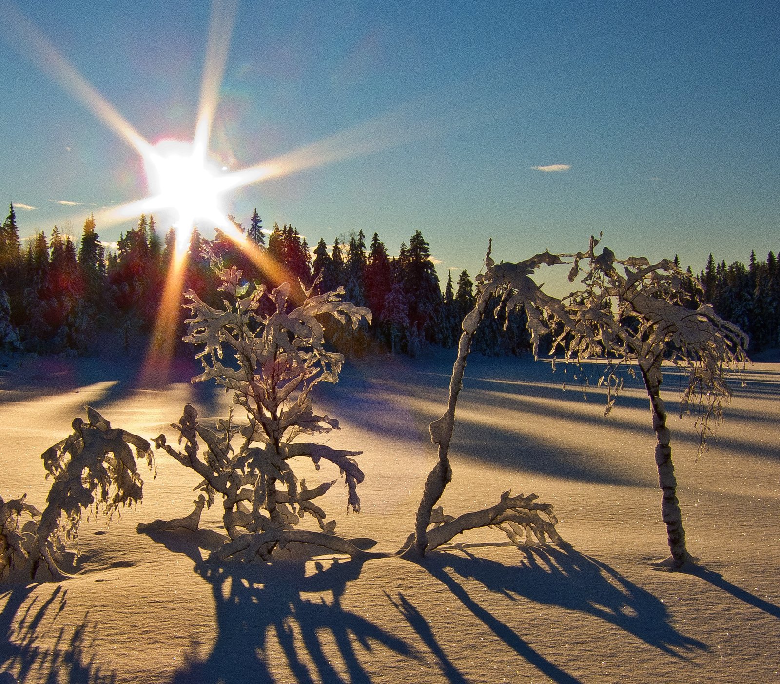 Motlys på Gampetjern