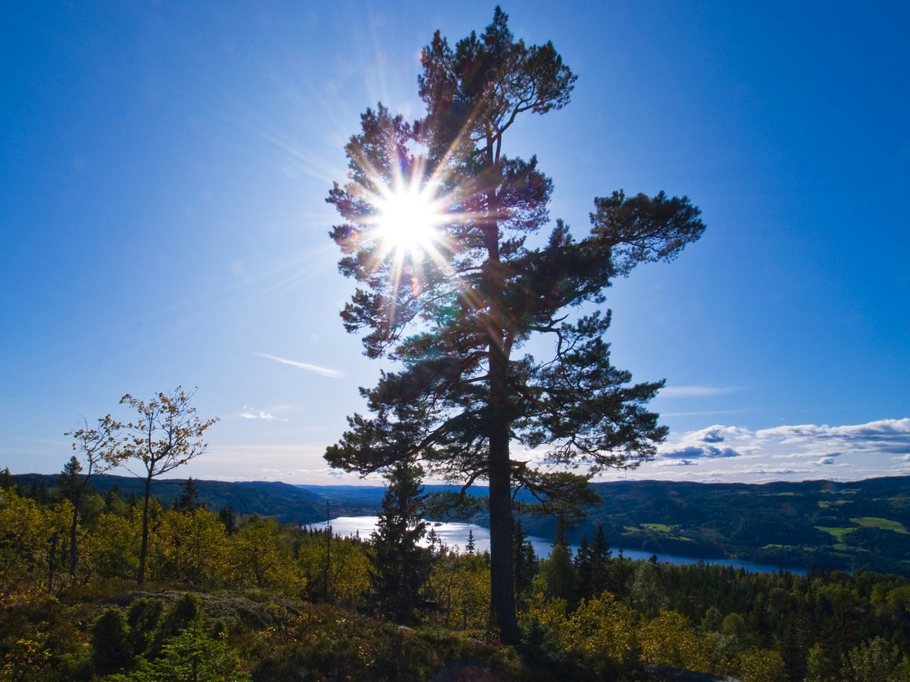 Motlys på Høgbrennåsen