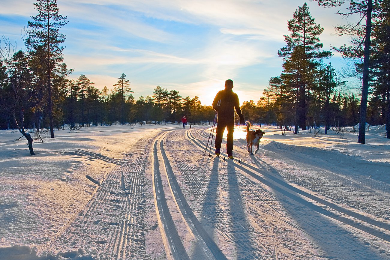 Motlys på Lauvliflaka