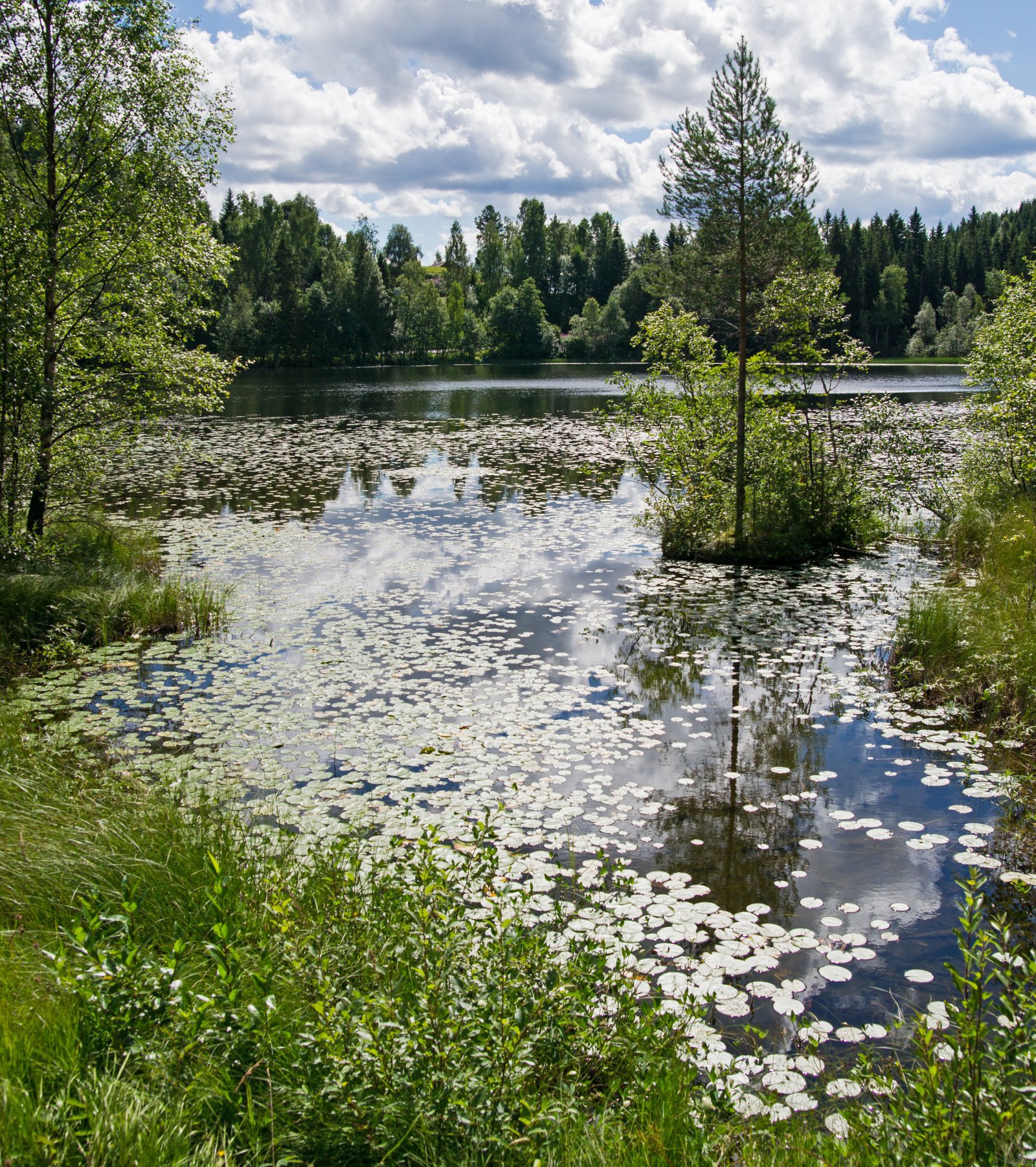Motlys ved Grøntjernet