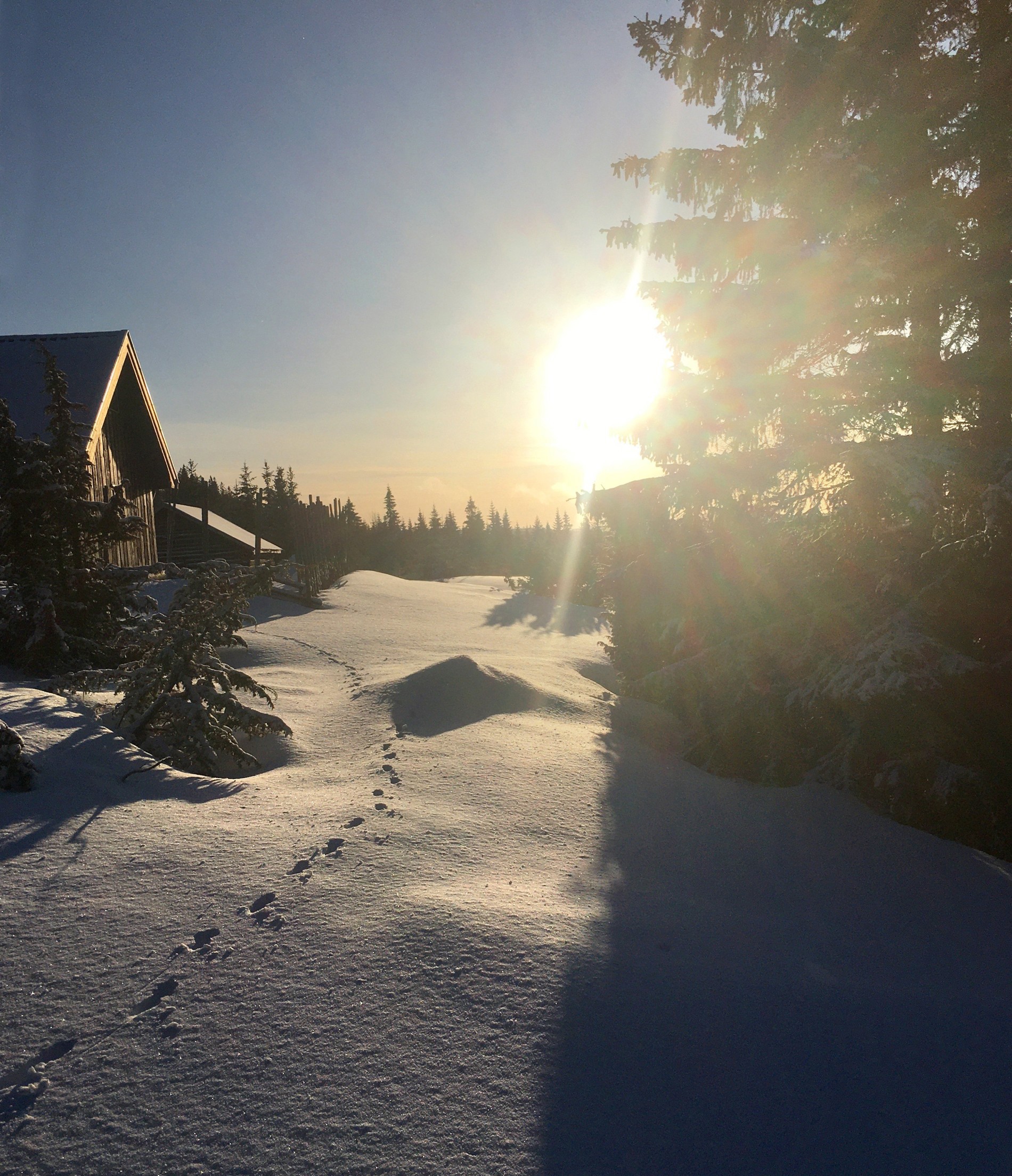 Motlys ved Langsætra