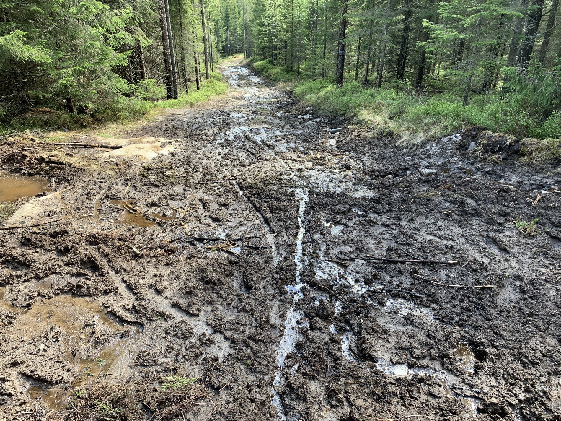 Mye regn og vårløsning ved Løvlia