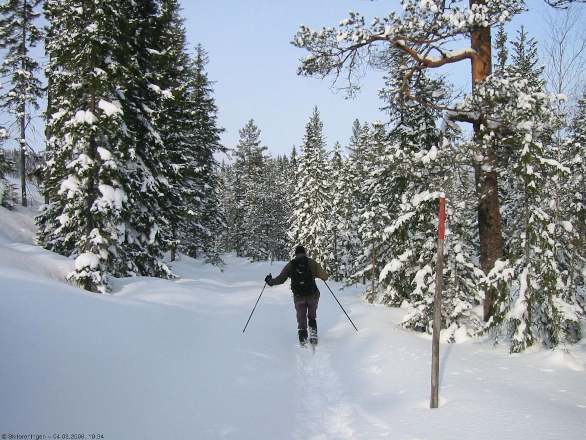 Mye snø å lage spor i