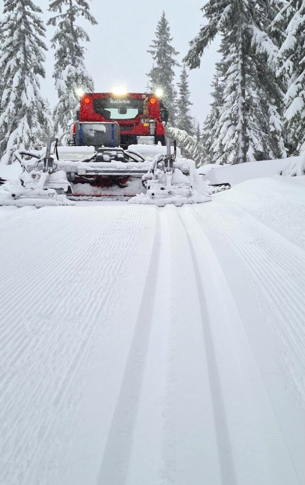 Mye snø har kommet i Totenåsen, og mer er på vei!