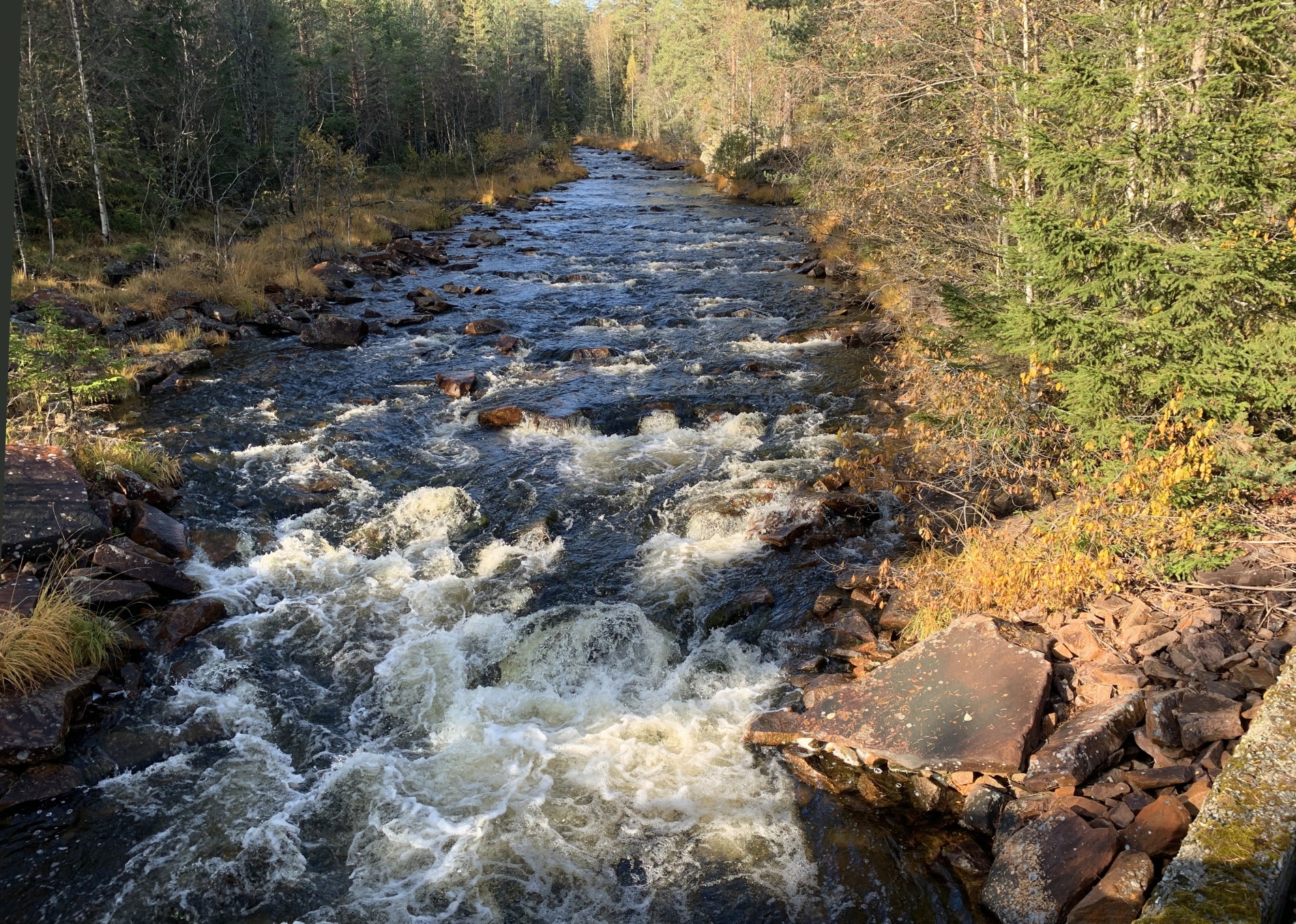 Mye vann i Solbergelva