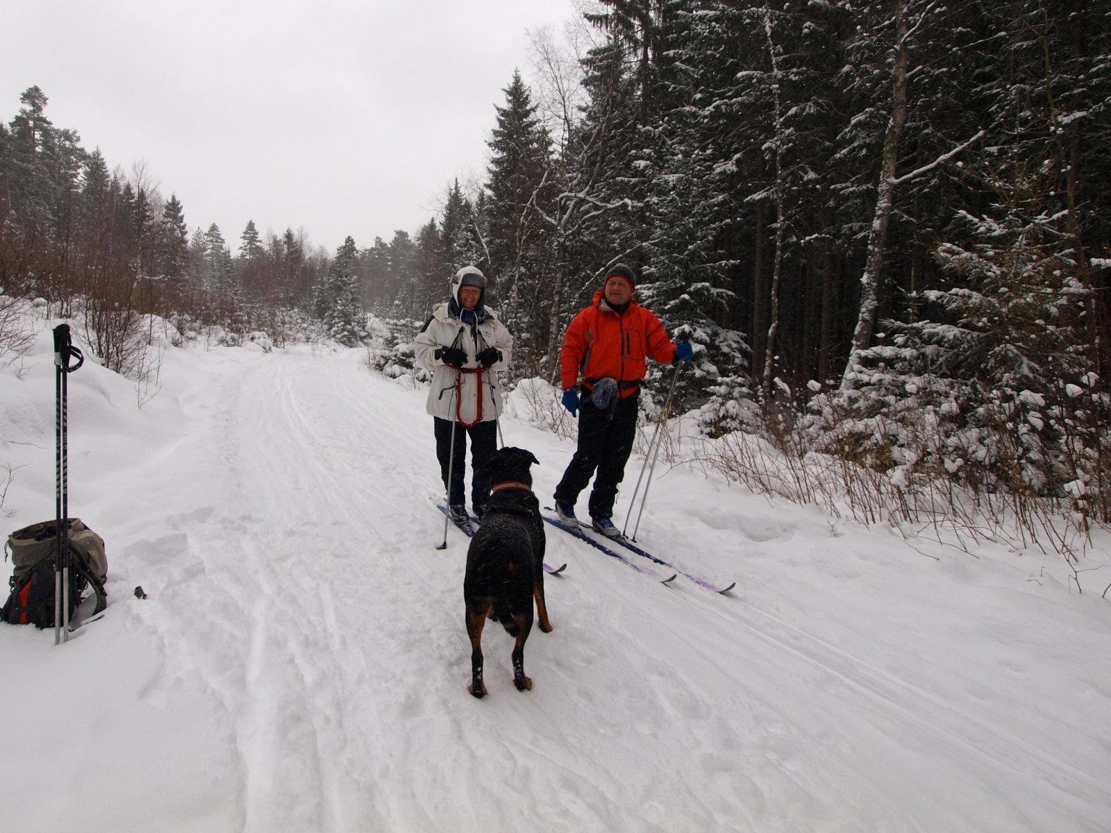 Mykt og kaldt snøværføre i Flisløypa