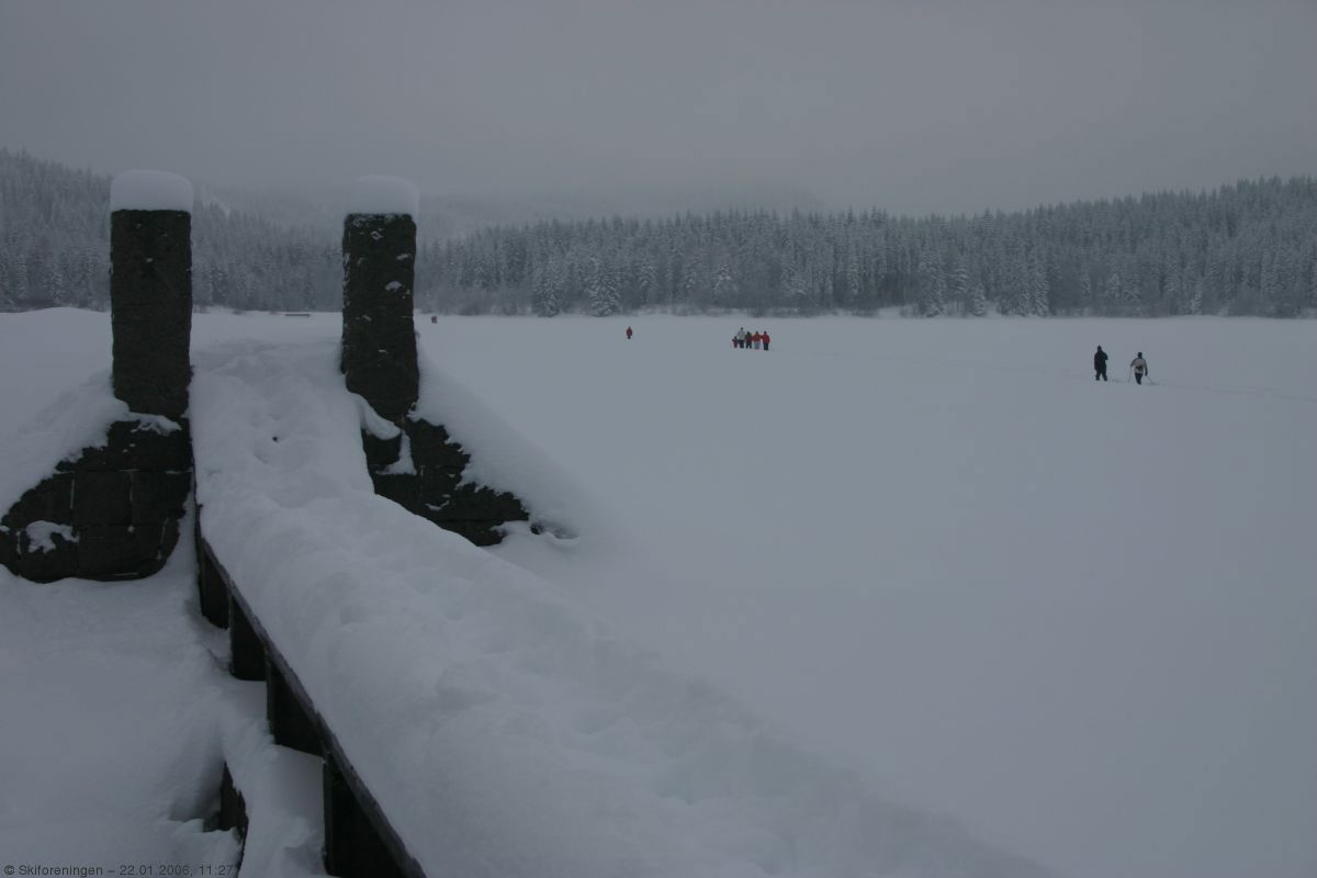 Mykt teppe over Ørfiske