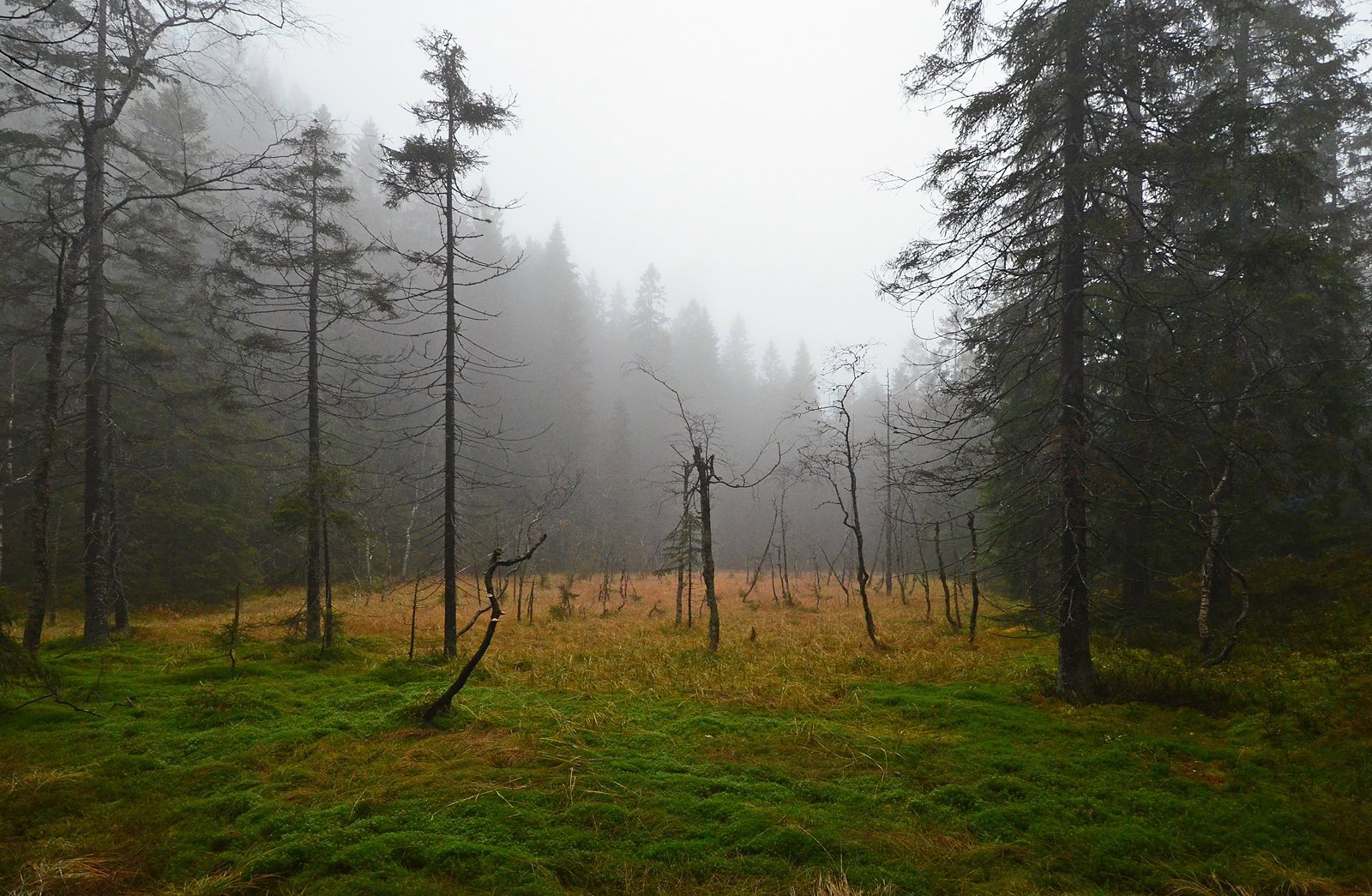 Myra rett før flyvraket